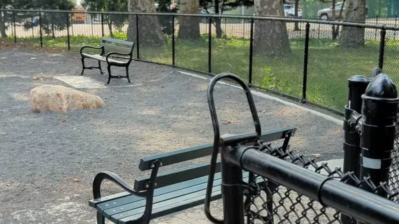 Devoe Park Dog Run - Bronx, NY