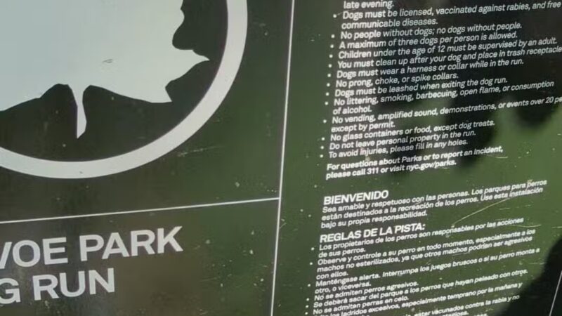Devoe Park Dog Run - Bronx, NY