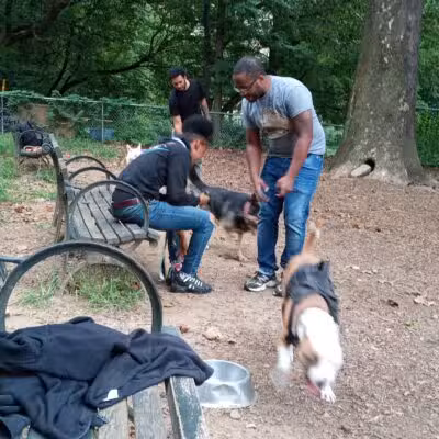 Ewen Park Dog Run - Bronx, NY