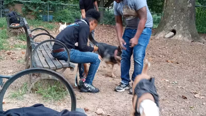 Ewen Park Dog Run - Bronx, NY