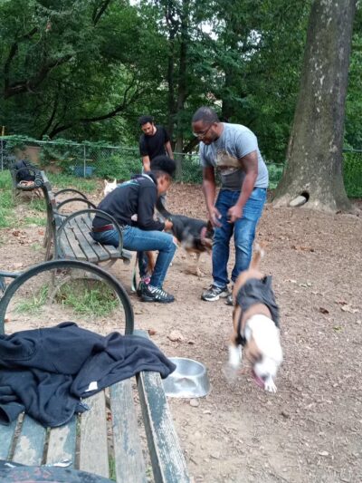 Ewen Park Dog Run - Bronx, NY