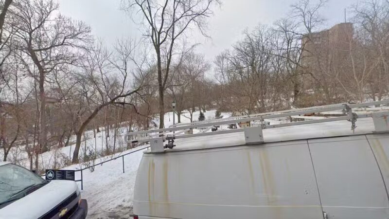 Ewen Park Dog Run - Bronx, NY