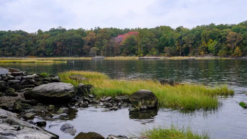 Pelham Bay Park - Bronx, NY