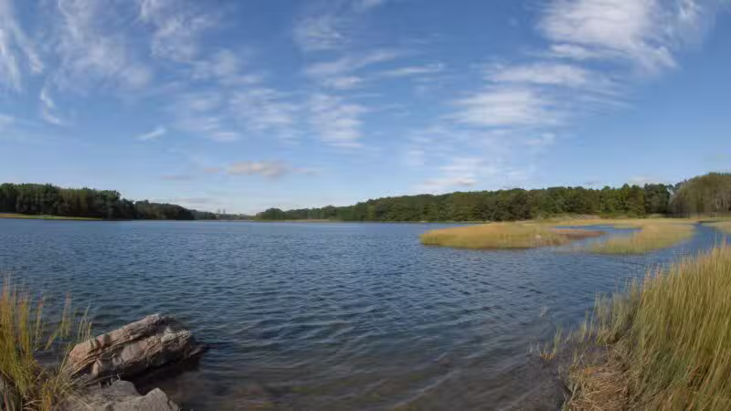 Pelham Bay Park - Bronx, NY