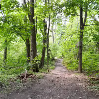 Riverdale Park - Bronx, NY