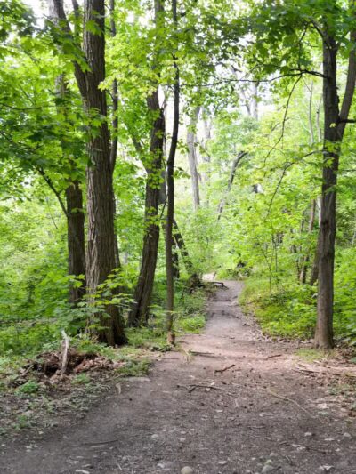 Riverdale Park - Bronx, NY