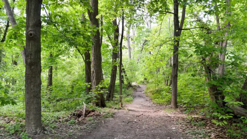 Riverdale Park - Bronx, NY