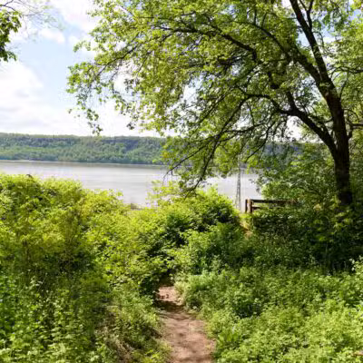 Riverdale Park - Bronx, NY