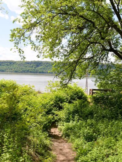Riverdale Park - Bronx, NY