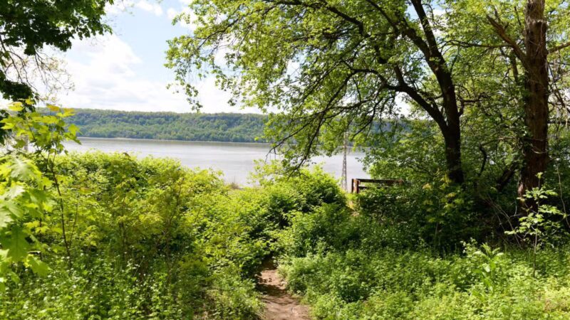 Riverdale Park - Bronx, NY