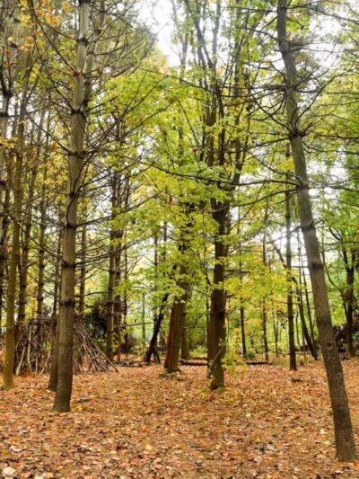 Riverdale Park - Bronx, NY