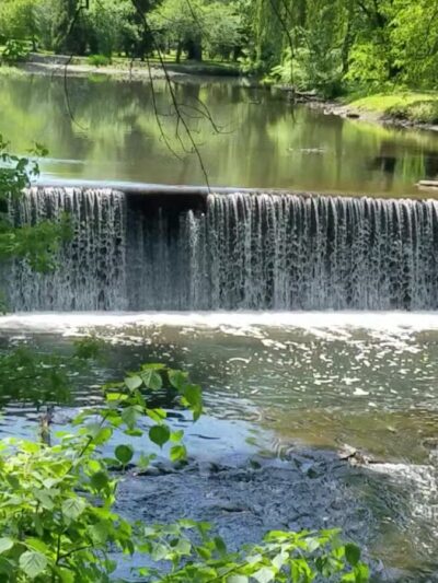 Riverdale Park - Bronx, NY
