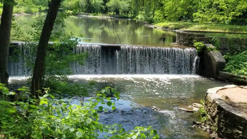 Riverdale Park - Bronx, NY