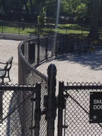 St. James Dog Park - Bronx, NY