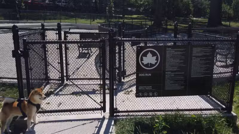 St. James Dog Park - Bronx, NY