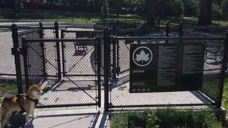 St. James Dog Park - Bronx, NY