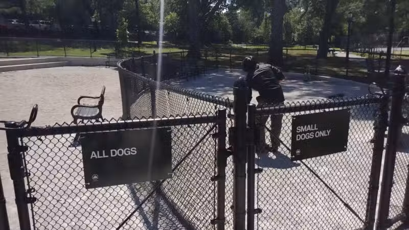 St. James Dog Park - Bronx, NY