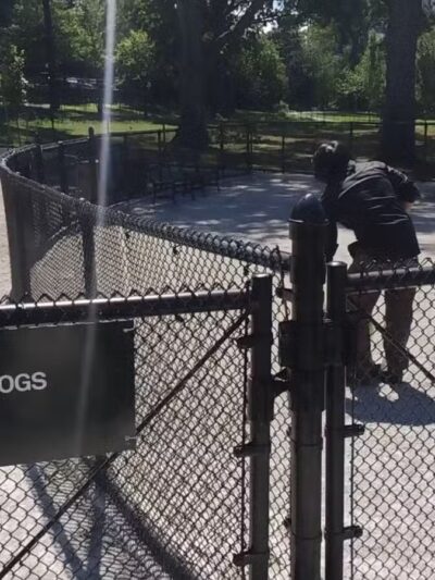 St. James Dog Park - Bronx, NY