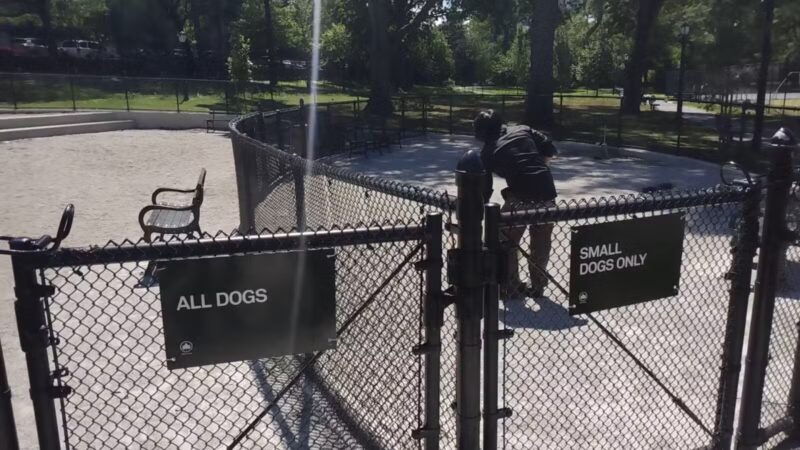 St. James Dog Park - Bronx, NY