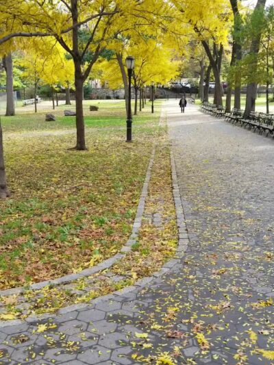 St. James Park - Bronx, NY