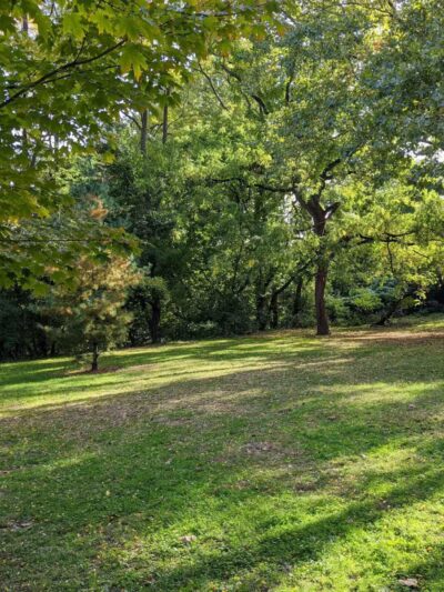 Ewen Park - Bronx, NY