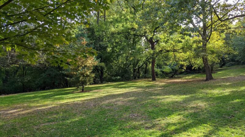 Ewen Park - Bronx, NY