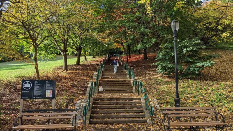 Ewen Park - Bronx, NY