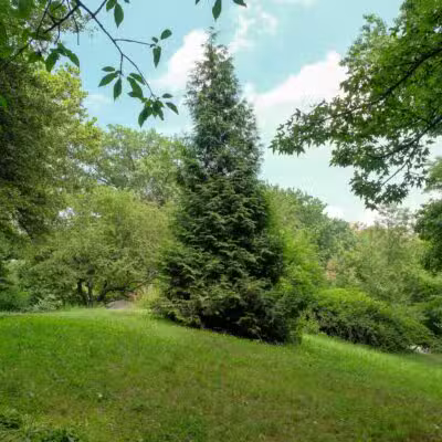 Ewen Park - Bronx, NY