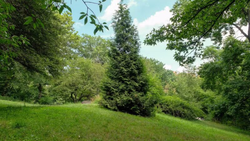 Ewen Park - Bronx, NY