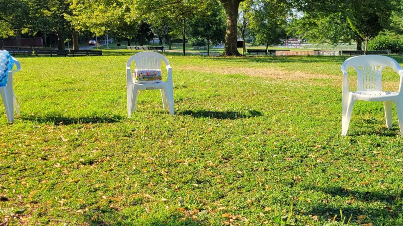 Pelham Bay Dog Run - Bronx, NY