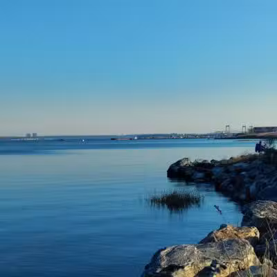 Pelham Bay Dog Run - Bronx, NY