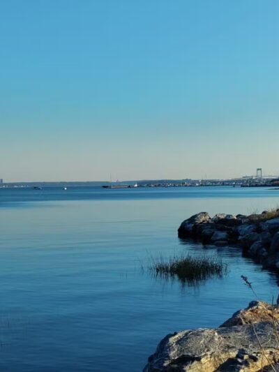 Pelham Bay Dog Run - Bronx, NY