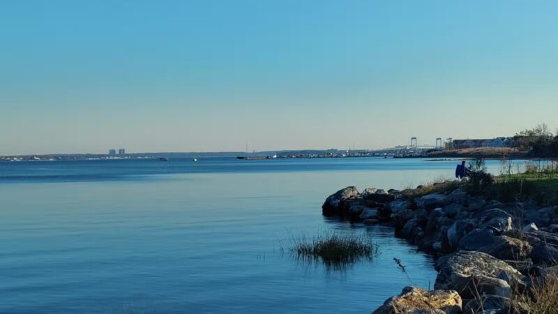 Pelham Bay Dog Run - Bronx, NY