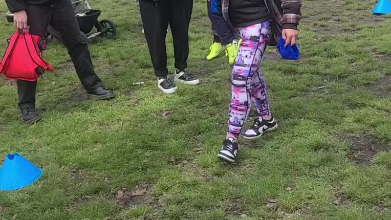 Pelham Bay Dog Run - Bronx, NY