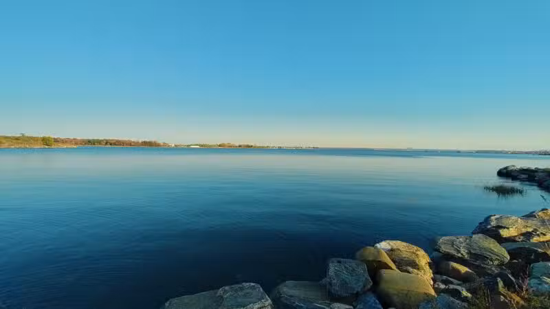 Pelham Bay Dog Run - Bronx, NY