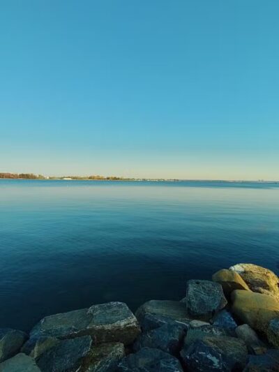Pelham Bay Dog Run - Bronx, NY