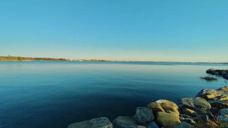 Pelham Bay Dog Run - Bronx, NY