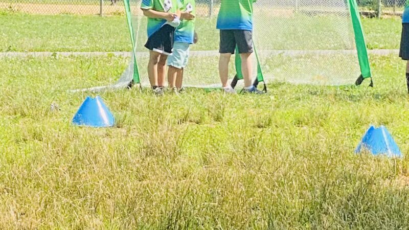 Pelham Bay Dog Run - Bronx, NY