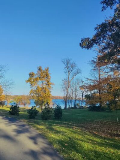 Pelham Bay Dog Run - Bronx, NY