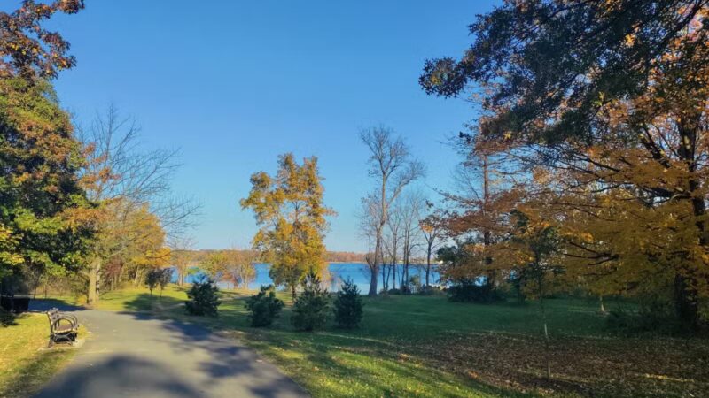 Pelham Bay Dog Run - Bronx, NY