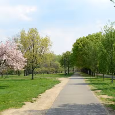 Soundview Park - Bronx, NY