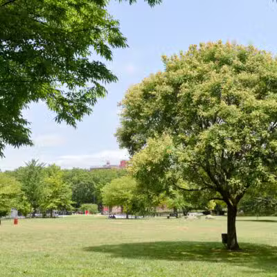Soundview Park - Bronx, NY