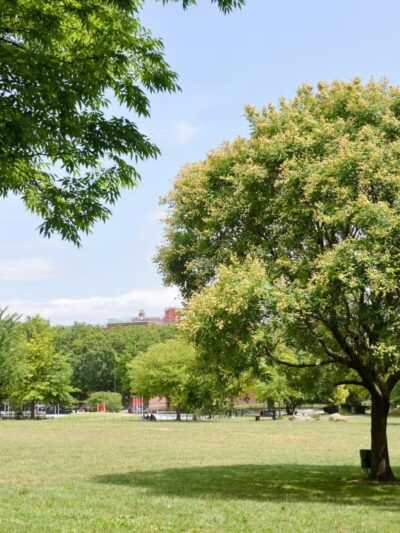Soundview Park - Bronx, NY