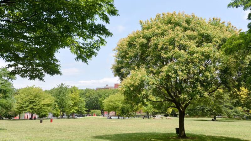Soundview Park - Bronx, NY