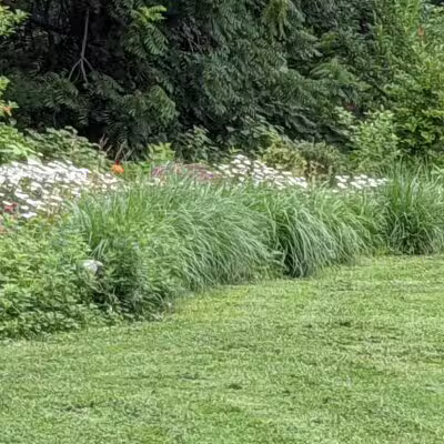 Bronxville Dog Park - Bronxville, NY