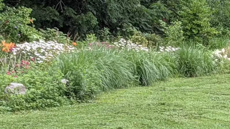 Bronxville Dog Park - Bronxville, NY
