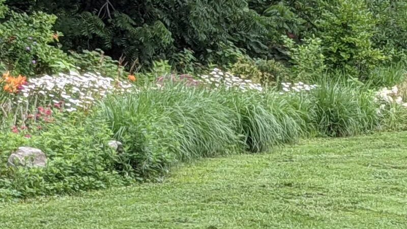 Bronxville Dog Park - Bronxville, NY