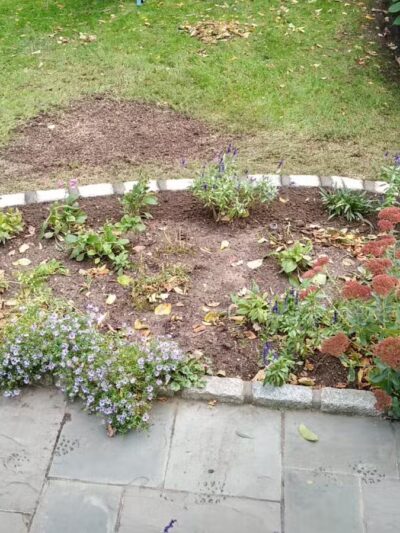 Bronxville Dog Park - Bronxville, NY