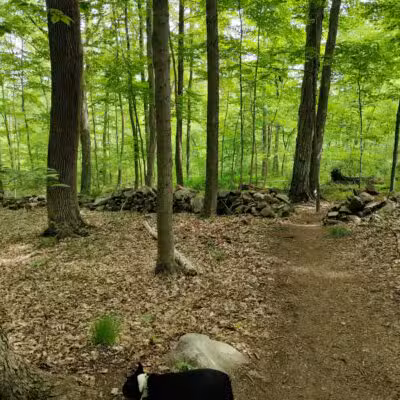 Birch Rocks Sanctuary - Brookfield, CT