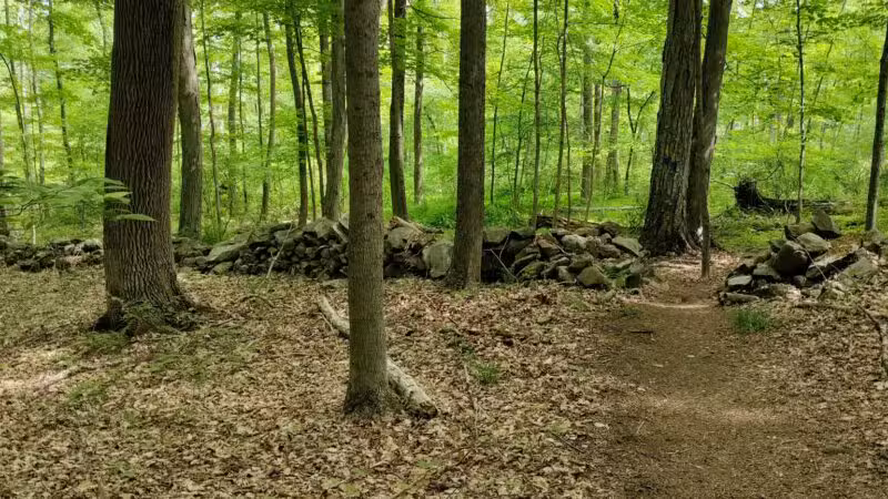 Birch Rocks Sanctuary - Brookfield, CT